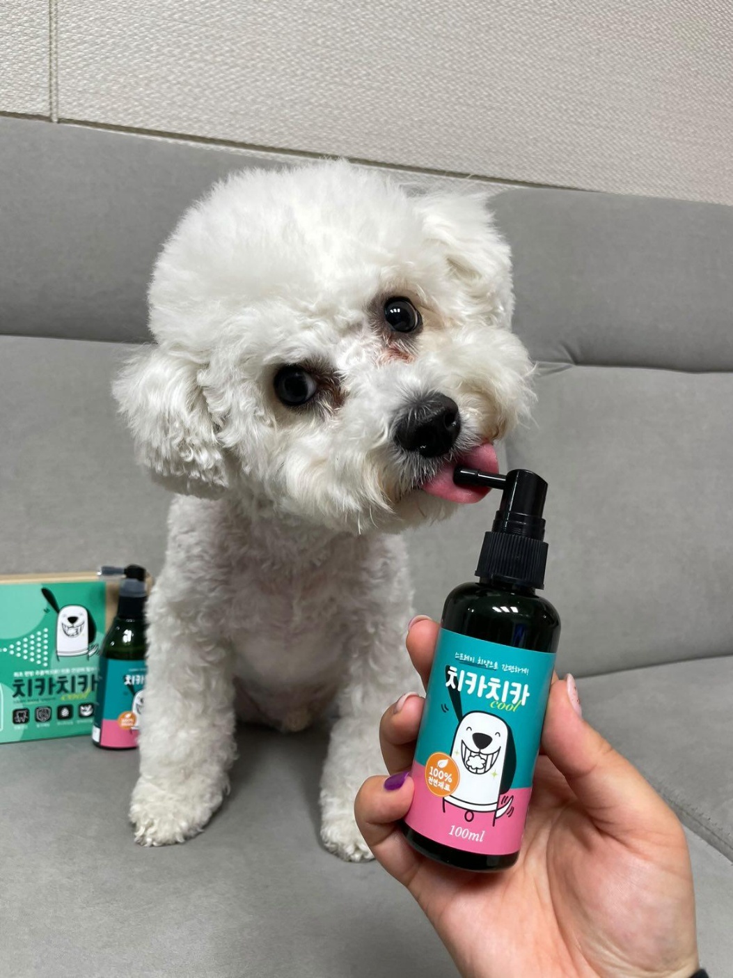 chikachikacool -dental spray